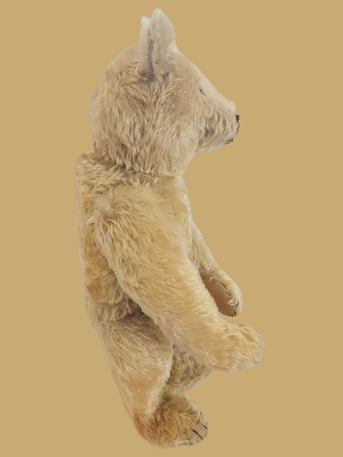 完品 シュタイフ Steiff Original Teddybear Rare antique Steiff - Teddy Bear / Original Teddy Bear - Pre